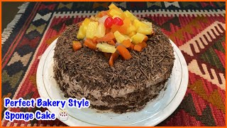 Sponge Cake  Bakery Style Chocolate Sponge Cake Recipe [upl. by Eelrahs840]