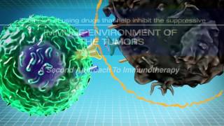 IMMUNOTHERAPY The Path to a Cancer Cure For Clinicians [upl. by Kynan133]