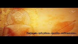 Brahmanimanthanika Sutta Part 2  විඥානත්වය පිරිසිද දැනගැනීමට වෙරදරමු [upl. by Nollek]