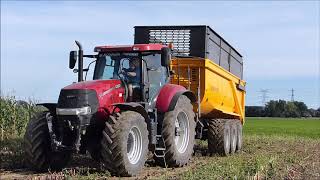 6 bennes 3 essieux Gros chantier densilage 600 chevaux au tas [upl. by Curzon405]