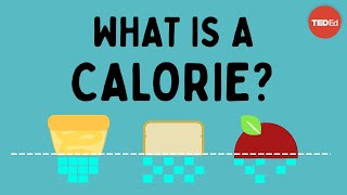 What is a calorie  Emma Bryce [upl. by Arramahs]