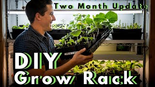 DIY LED Grow Rack Update amp Grow Lights vs Shop Lights [upl. by Aber]