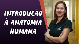 Introdução à Anatomia Humana  Brasil Escola [upl. by Pacificas24]