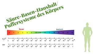 SäureBasenHaushalt Komplett erklärt für die Heilpraktikerprüfung [upl. by Ytisahc]