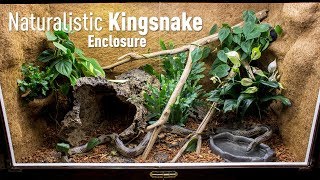 Setting up a Naturalistic Kingsnake Enclosure [upl. by Smalley]