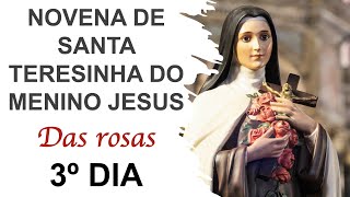 3º dia  Novena de Santa Teresinha do Menino Jesus [upl. by Silverts877]