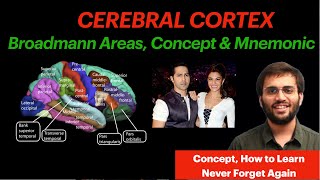 Cerebral Cortex  CNS Physiology  Brodmann Areas Mnemonic amp Conept Video  Neuroanatomy [upl. by Finbar]