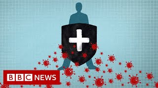 Coronavirus Immunity explained  BBC News [upl. by Hailat901]