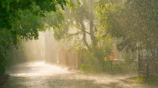 Sonido de Lluvia Relajante para Dormir  Sonidos Relajantes de la Naturaleza para Dormir Estudiar [upl. by Gnaw223]