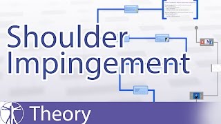 Shoulder Impingement Explained [upl. by Yearwood411]