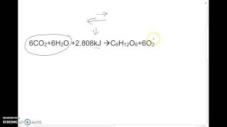 Endothermic or exothermic chemical equation [upl. by Barth]