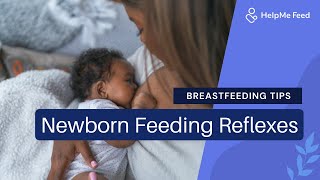 Breastfeeding Tips Newborn Feeding Reflexes [upl. by Attennod]