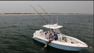 Drone  500 Pound Thresher Shark Caught Near Shore in NY [upl. by Suinotna538]