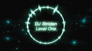 DJ Striden  Level One Electro [upl. by Nason]