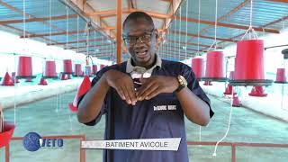 COMMENT CONSTRUIRE UN BÂTIMENT AVICOLE DALALE NDANANE Wally DIOP MAZ [upl. by Kallman]