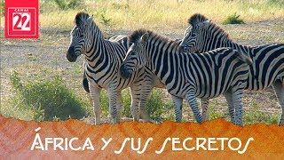 África continente enigmético África y sus secretos [upl. by Uah]