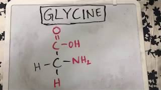 Glycine Structure  Amino Acid Basics [upl. by Browning]