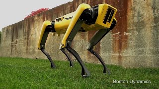 This New Robot Dog Has a Playful Spirit [upl. by Sakmar]