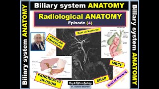 Radiological anatomy episode 4 Biliary system Anatomy [upl. by Ailedua]