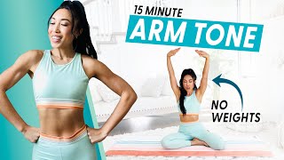 15 Minute Arm Burnout weightless upper body workout [upl. by Katharine]