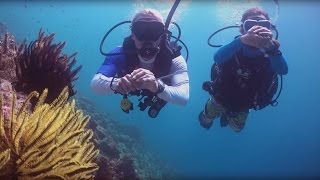 PADI Divemaster Course [upl. by Nnyleak]