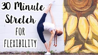 Starting To Stretch  30 MINUTES FOLLOW ALONG  FullBody Beginner Flexibility [upl. by Koller]