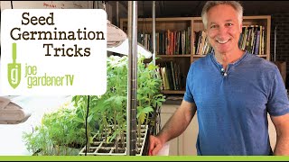 Seed Germination  Easy Tricks for More Success [upl. by Neehsas66]