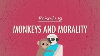 Monkeys and Morality Crash Course Psychology 19 [upl. by Sparks]