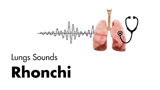 Rhonchi  Lung Sounds  Medzcool [upl. by Evelyn]