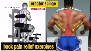 5 erector spinae exercises  How to Get a Strong Low Back [upl. by Clarie151]