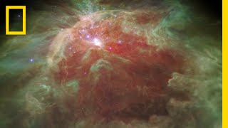 Fly Through a StarStudded Nebula In a New 3D Visualization  National Geographic [upl. by Ahslek]