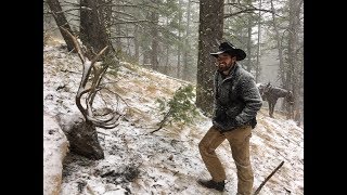 Elk KILLED by another elk amp Nathans Bull  S2E09  Limitless Outdoors [upl. by Ruffina]