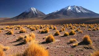 Altiplano Chileno [upl. by Elata]