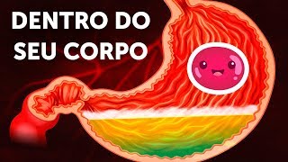 Uma Jornada Dentro Do Corpo Humano [upl. by Adah]