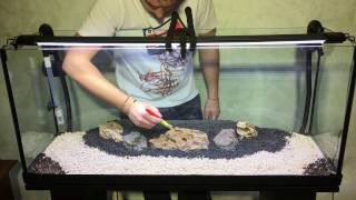 tutorial allestimento acquario aquarium [upl. by Arabrab735]