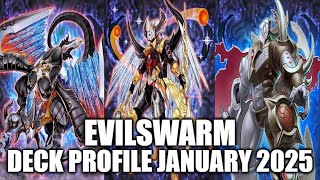 EVILSWARM DECK PROFILE JANUARY 2025 YUGIOH [upl. by Christalle706]