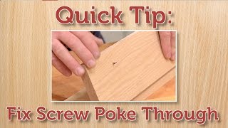 Quick Tip Fix a Protruding Screw [upl. by Ahtael]