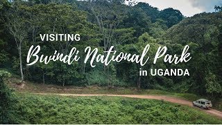 Exploring Bwindi Impenetrable National Park  Gorilla Safari Lodge  Uganda [upl. by Etteb]