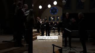 performed by Ludens Vocaal Ensemble amp Raoul Boesten [upl. by Macgregor]