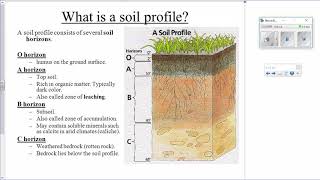 AP Environmental Science APES Soil Horizons [upl. by Merp321]