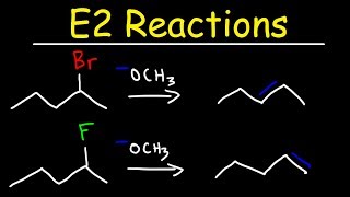 E2 Reaction Mechanism  Hoffman Elimination vs Zaitsevs Rule [upl. by Rawna127]