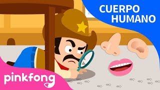 Cinco Sentidos  Cuerpo Humano  Pinkfong Canciones Infantiles [upl. by Helbonna]