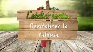 Revitaliser la pelouse [upl. by Hauge]