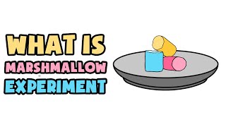 What is Marshmallow Experiment  Explained in 2 min [upl. by Aneerahs]