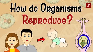 How Do Organism Reproduce Class 10 Full Chapter Animation  Class 10 Science Chapter 8  CBSE [upl. by Lindsy111]