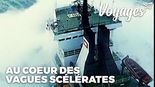 Au coeur des tempêtes  Documentaire [upl. by Reinaldo]