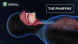 Grand Rounds  Hypopharynx  A case of Hypoharyngeal Growth [upl. by Morell]