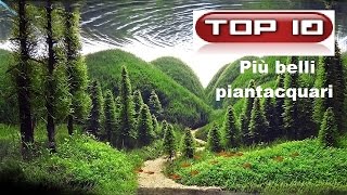 Top 10 acquari dolci spettacolari 🐠 [upl. by Jemine]