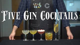 The 5 Easiest GIN Cocktails to Make at Home [upl. by Nahsrad111]