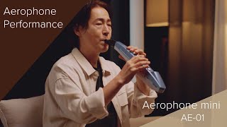 Roland Aerophone mini AE01 Performance [upl. by Aivul]